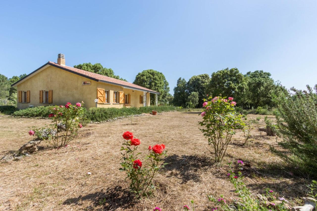 Su Pitiolu - Casa Vacanze Làconi Dış mekan fotoğraf