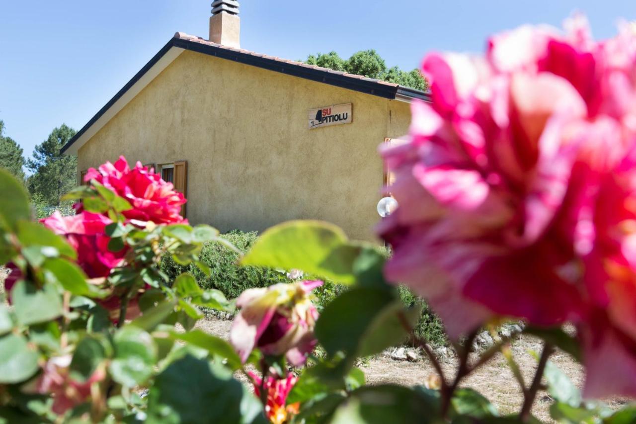 Su Pitiolu - Casa Vacanze Làconi Dış mekan fotoğraf